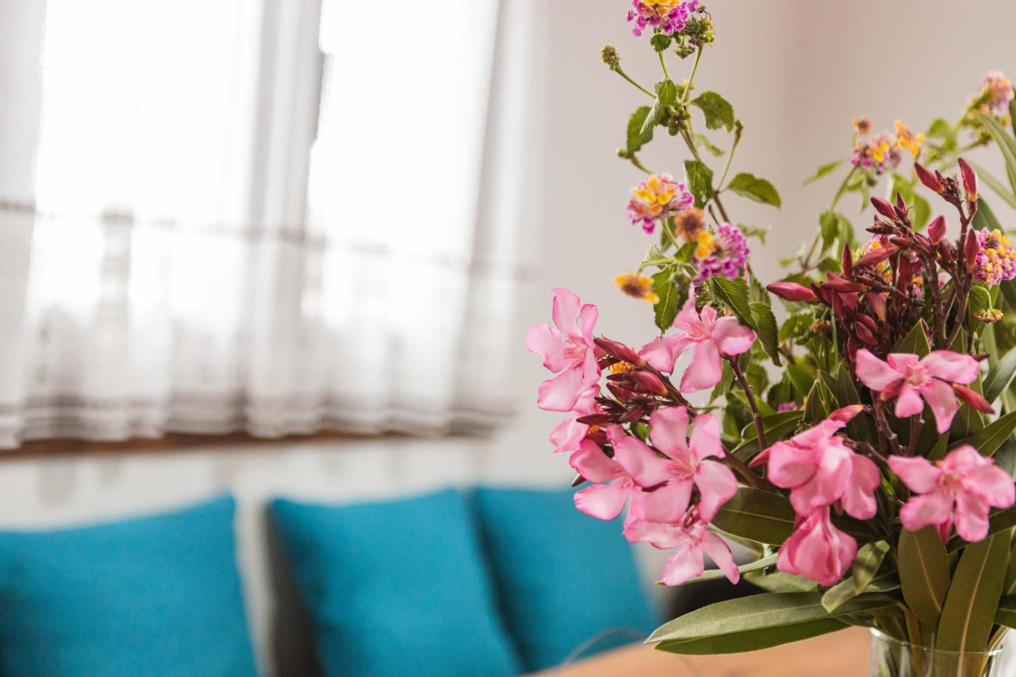 Apartment Maria's Traditional Asklipiion